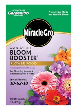 Miracle-Gro Flower Food - Enhance Your Blossoms!