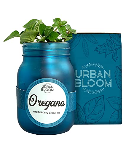 Urban Bloom Hydroponic Herb Growing Kit