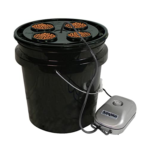 HTGSupply 5-Gallon Bubble Boy DWC Hydroponic Bucket System