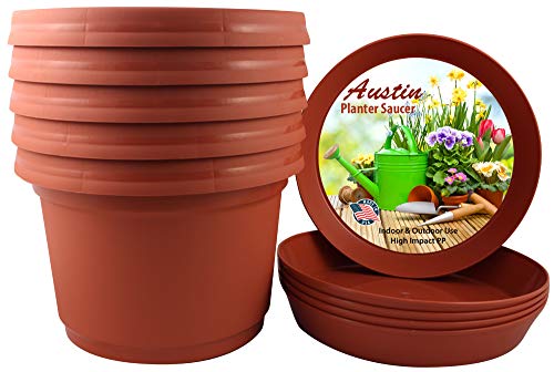 Austin Planter & Saucer 12 inch Terra Cotta