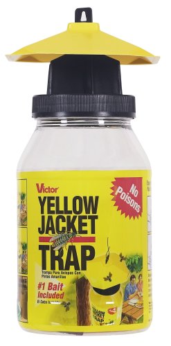 Yellow Jacket & Flying Insect Trap