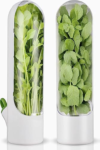 Herb Saver for Refrigerator