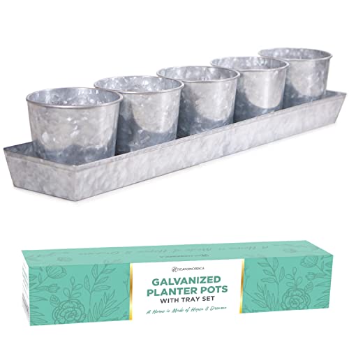 Galvanized Herb Planter with Drainage Holes and Tray