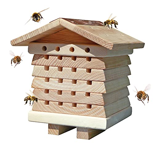 Interactive Bee House