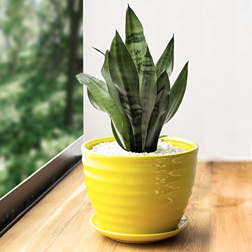 Modern Ribbed Design Yellow Ceramic Planter Pot