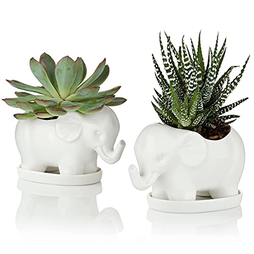 Ceramic Elephant Succulent Planter Pots with Saucers