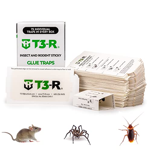 T3-R Sticky Traps for Bugs - Effective and Safe Pest Control