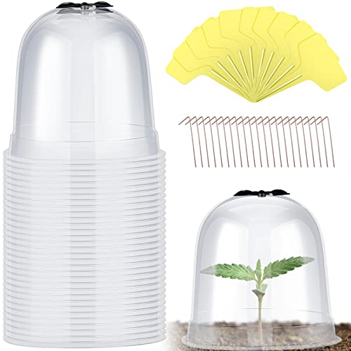 Remerry Garden Cloche Clear Bell Covers