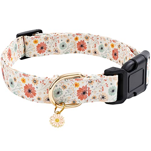 Cute Flower Dog Collar for Small Dogs - Faygarsle Cotton Designer Dogs Collar