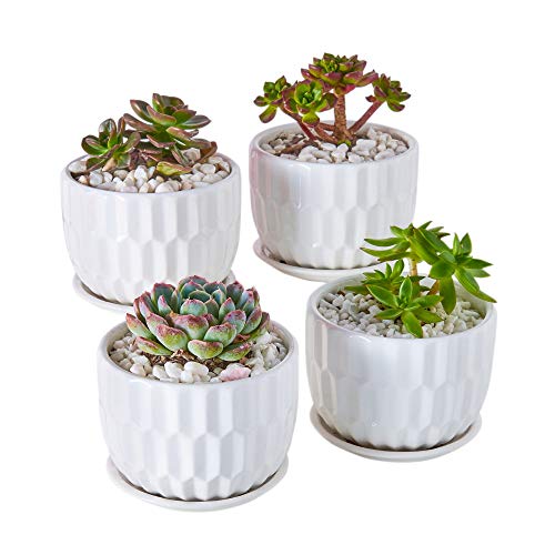 Lezuoey 4 Inch White Ceramic Succulent Pots