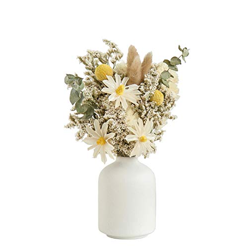 Elegant Ceramic Vase for Home Decor