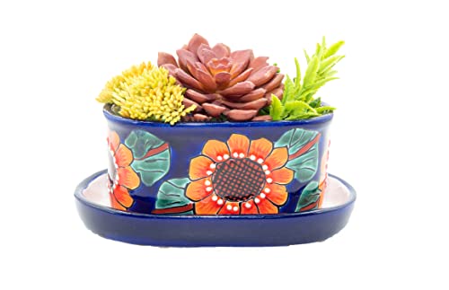 Mexican Talavera Style Indoor Succulent Bowl Pottery Planter Pot