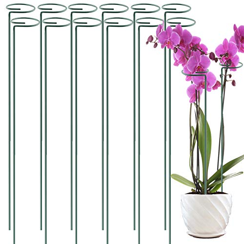 12 Pack 36 inch Plant Support Stakes
