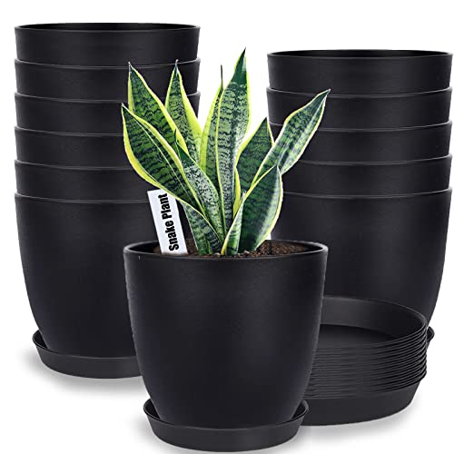 SwinDuck 6 inch Plant Pots with Drainage Holes