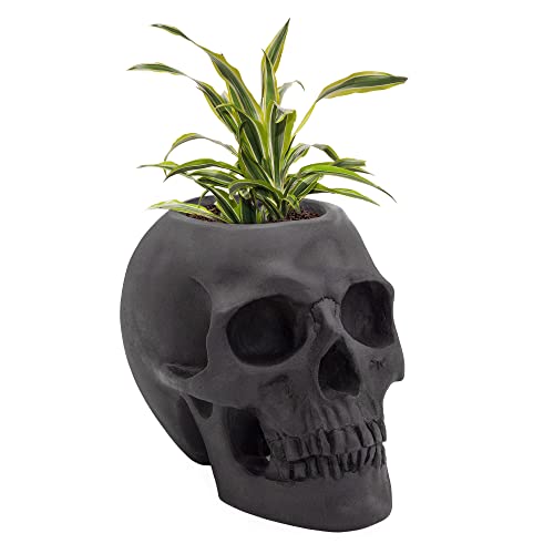 Esterno Black Skull Planter Pot