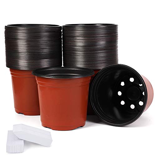 JERIA 100-Pack 6 Inch Plastic Nursery Pots