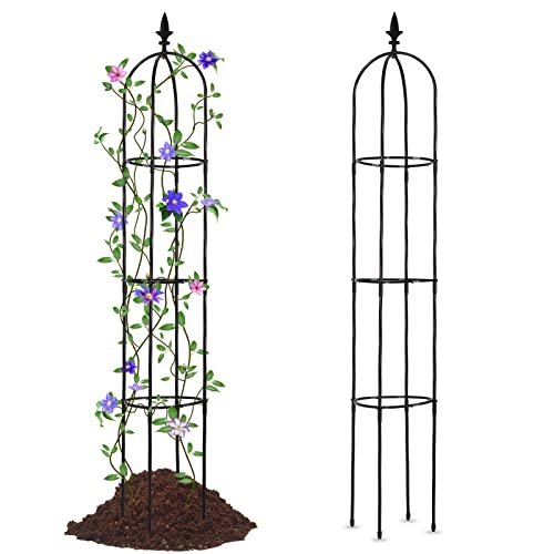Outdoor Plant Trellis Support for Climbing Plants