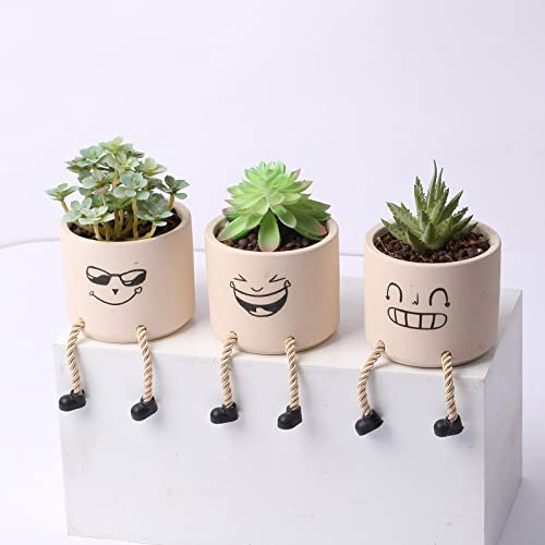 Fitcho Ceramic Succulent Plant Pots
