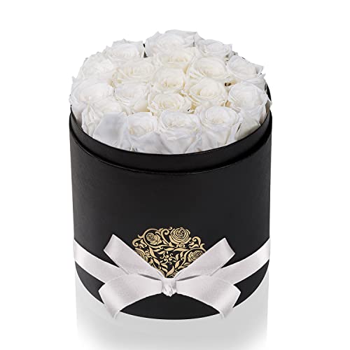 NATROSES Preserved Roses - Lasting Romantic Gifts for Her