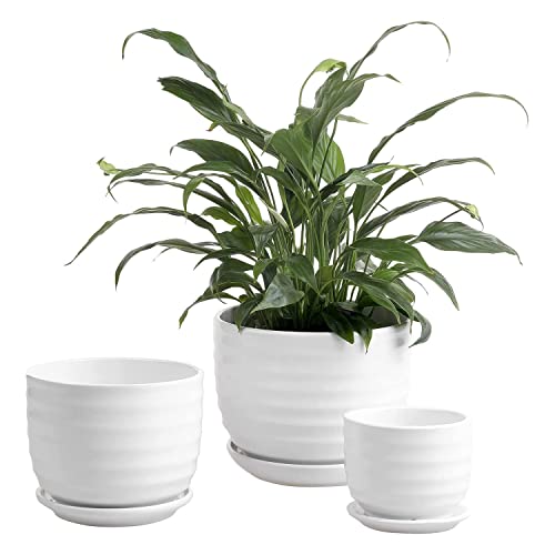 Modern Ribbed White Ceramic Indoor Plant Pot, Set of 3