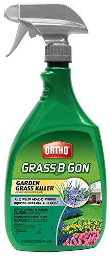 Ortho 0438580 Grass B Gon Garden Grass Killer