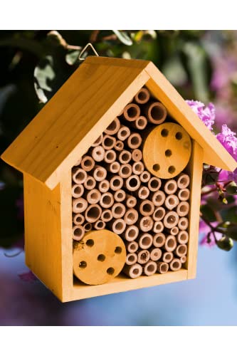 Bamboo Tube Bee Hotel for Solitary Bees