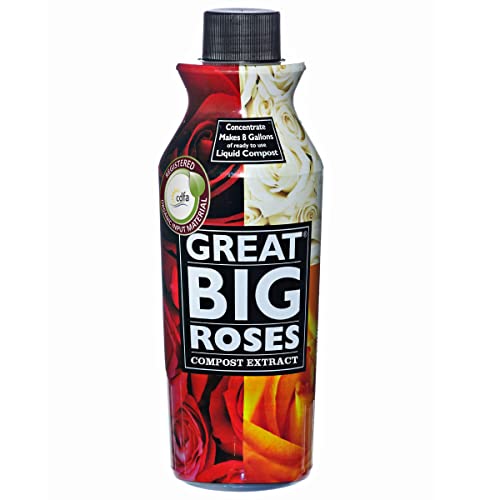 Great Big Roses Soil and Fertilizer Booster