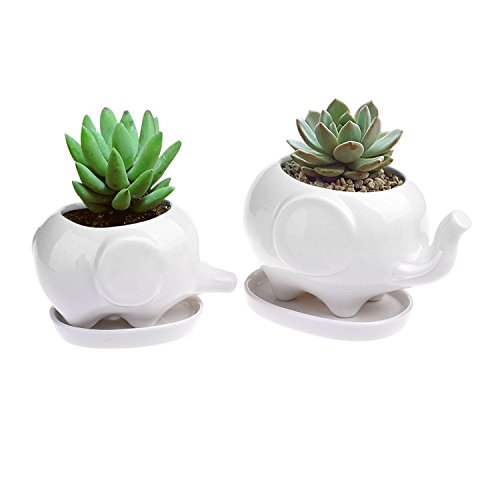 Modern White Ceramic Succulent Planters - Set of 2 Cute Elephant Flower Pots