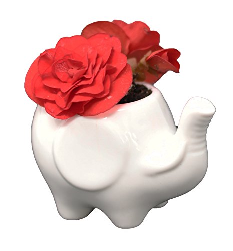 Mama Elephant Ceramic Flower Pot