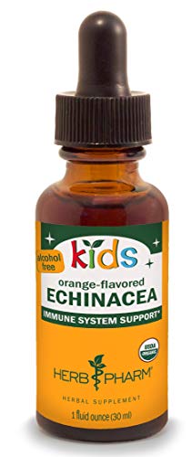 Alcohol-Free Echinacea Glycerite Liquid Extract for Kids