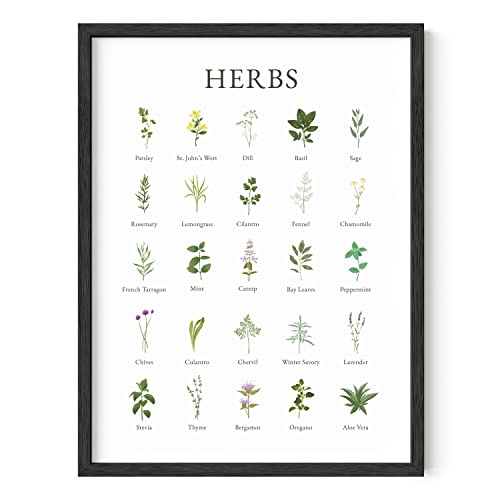 HAUS AND HUES Herb Pictures for Kitchen Wall Art