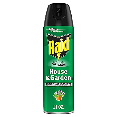 Raid House & Garden Insect Killer Spray
