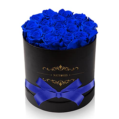 Preserved Royal Blue Roses in a Box
