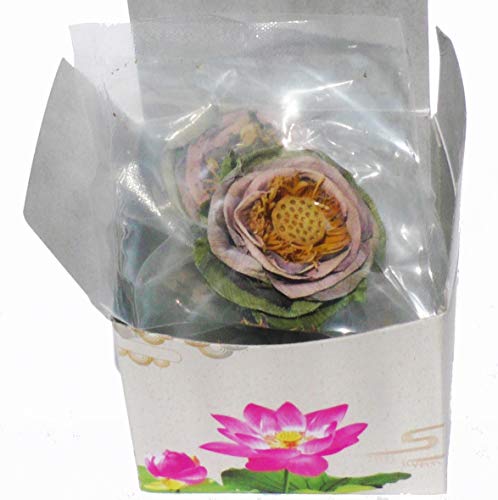 Lotus Flower Tea