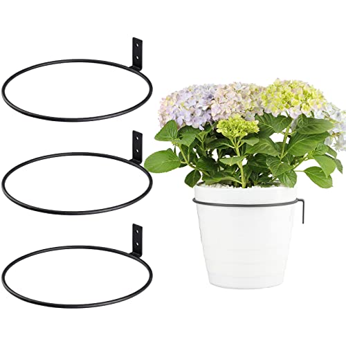 TreeLen 8 inch Flower Pot Holders: Stylish Solution for Plant Display