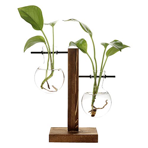 Glass Planter Bulb Vase with Wood Frame Holder