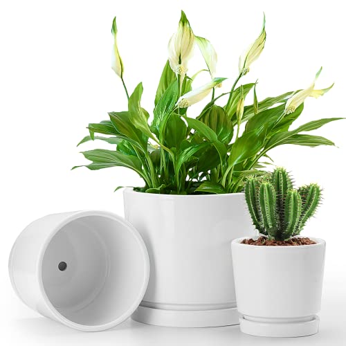 Whonline Ceramic Plant Pots: 3 Pack of White Planters with Drainage Hole