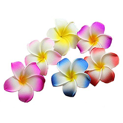 Calcifer Hawaiian Plumeria Flower Clips - Vibrant and Stylish Hair Accessories