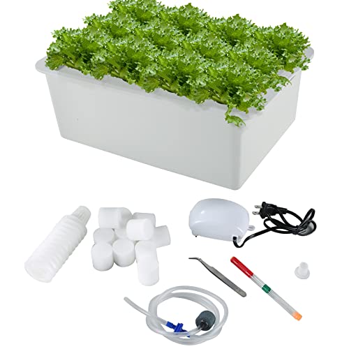 MAOPINER Indoor Hydroponic Grow Kit - Best Indoor Herb Garden