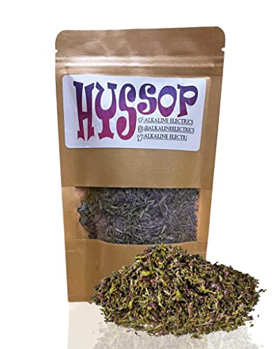 Organic Hyssop | Boost Your Well-being with this Versatile Herb