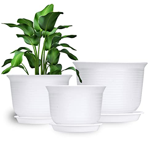 Rifny Extra Large Planters for Indoor Plants