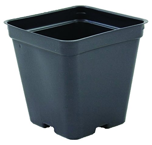 Grower's Solution Square Greenhouse Pots - 200 Pack
