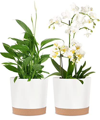 kubvici Indoor Planters