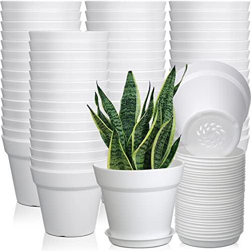 Mumufy 4 Inch Plant Pots Bulk with Drainage Hole and Saucer