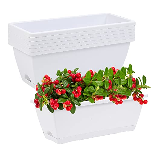 Window Box Planter - Plastic Vegetable Flower Planters