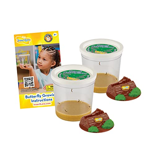 Two Cups of Caterpillars - Butterfly Kit Refill