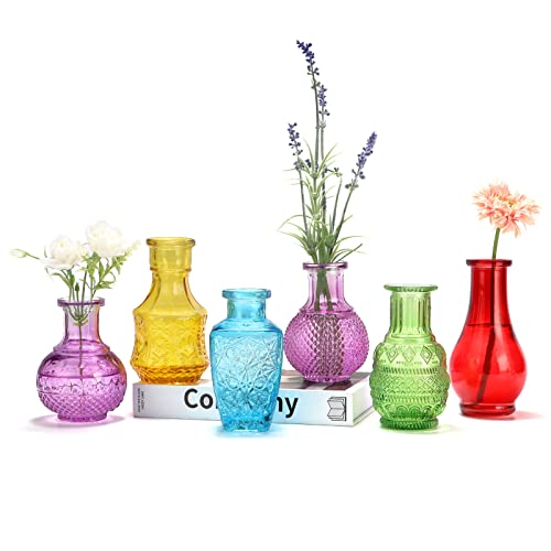 BIGIVACA Glass Single Bud Vases Set - Decorative Flower Vases for Home, Events, and Garden