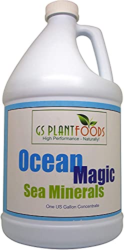 Ocean Magic Sea Mineral Fertilizer - Soil Health Improvement Liquid Concentrate