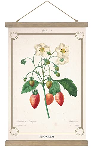 Vintage Botany Illustration Poster with Wooden Frame