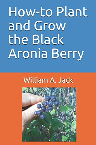 Planting and Growing Black Aronia Berry